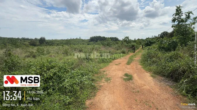 Công ty Đấu giá hợp danh Lam Sơn Sài Gòn THÔNG BÁO ĐẤU GIÁ TÀI SẢN