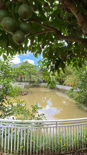 BIỆT THỰ NGHỈ DƯỠNG BẢO LỘC - SIÊU PHẨM ĐÈO MÂY LỘC THÀNH 1,2HA