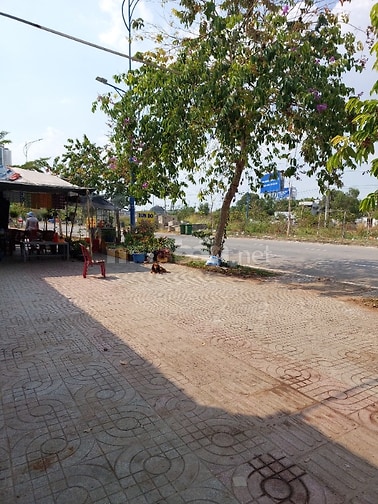 Cho thuê nhà 129B Mai Chí Thọ, Phường An Phú, Quận 2