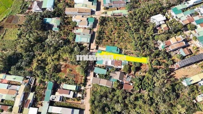 Hạ kịch khung bán 390m2 đất có thổ cư tại hẻm 19/5 2590