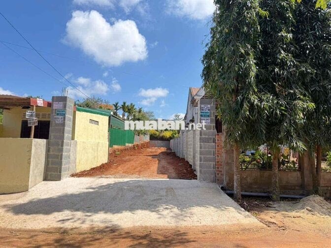 Hạ kịch khung bán 390m2 đất có thổ cư tại hẻm 19/5 2590
