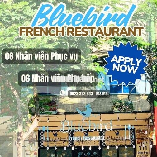 [KO CẦN KN] 6 NHÂN VIÊN PHỤC VỤ TÂN BÌNH