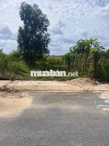 Chính chủ bán đất nền KDC Bình Mỹ Garden, chỉ có 1,39 tỷ, DT: 82,5 m2