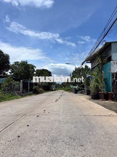 497,6m2 giá chỉ 1tỷ250 ngay trung tâm TT Củ Chi đường nhựa sổ riêng