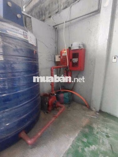 Cho Thuê Kho Xuân Thới Sơn Hóc Môn