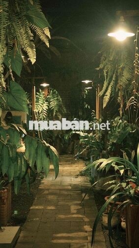 MƯA – GARDEN COFFEE TUYỂN DỤNG