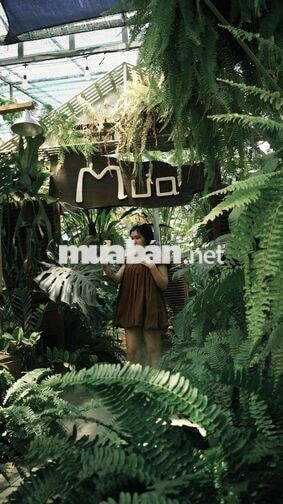 MƯA – GARDEN COFFEE TUYỂN DỤNG
