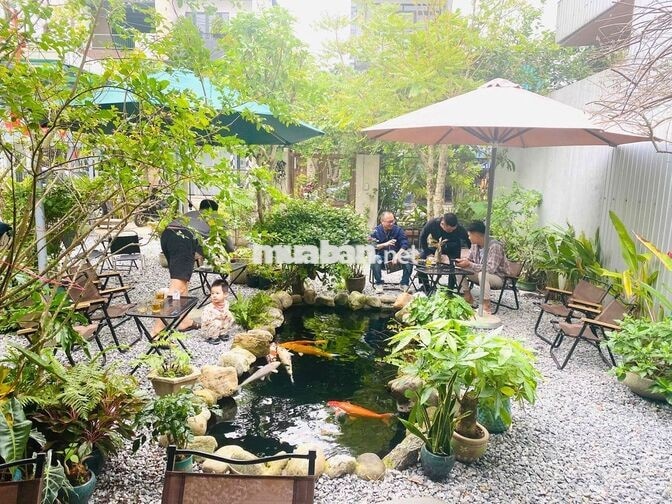 tuyển nhân viên phục vụ