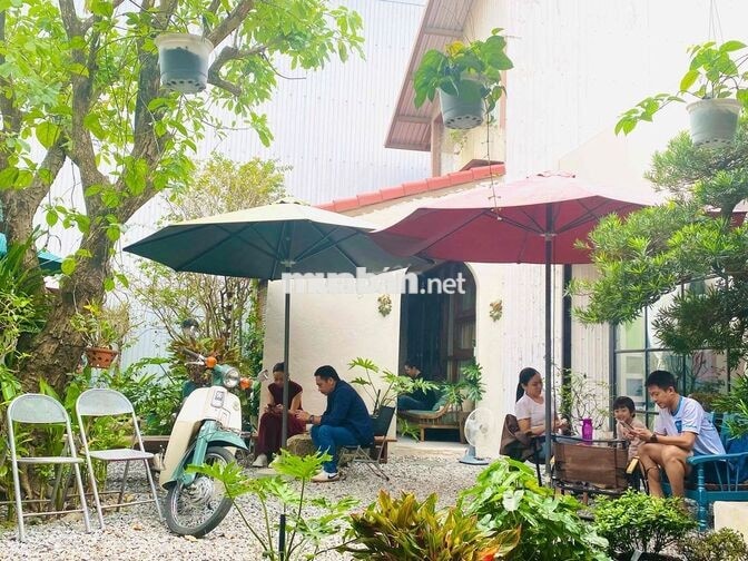 tuyển nhân viên phục vụ