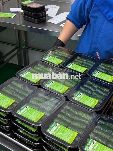 TUYỂN DỤNG PHỤ BẾP & SƠ CHẾ LƯƠNG 9-11 TRIỆU