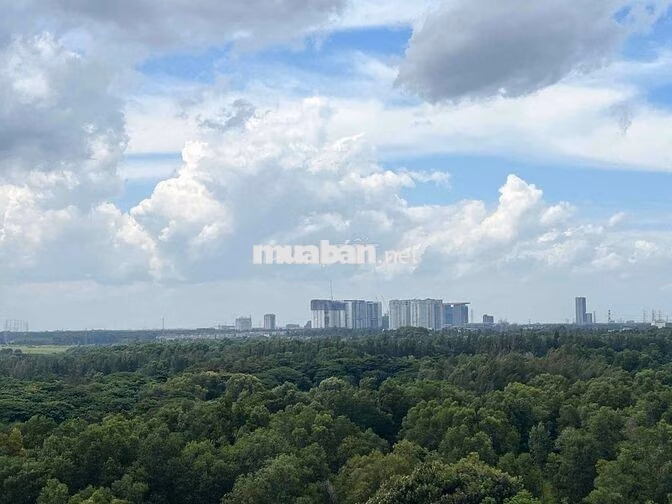 CHÍNH CHỦ CẦN CHO THUÊ CĂN HỘ PHÚ MỸ VIEW THÀNH PHỐ MỚI