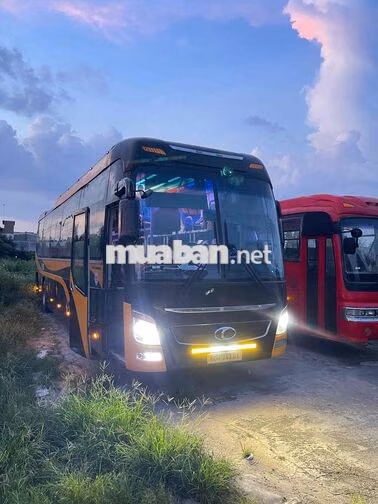 Thaco Weichai 41 giường 2 ghế Đen, Vàng