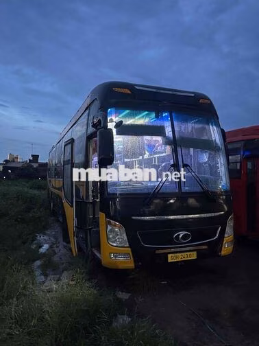 Thaco Weichai 41 giường 2 ghế Đen, Vàng