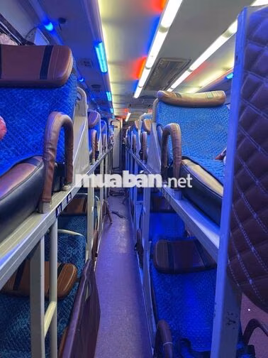 Thaco Weichai 41 giường 2 ghế Đen, Vàng