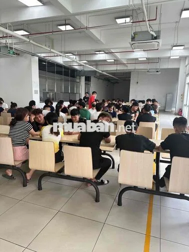 *** thời vụ tại kcn An Dương, HP