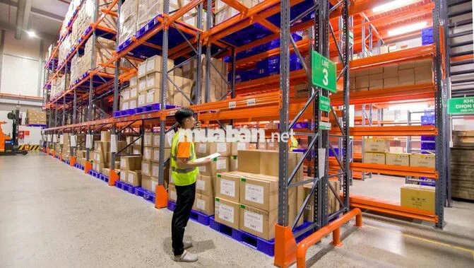  [THANH TRÌ] TUYỂN NHÂN VIÊN KHO DƯỢC