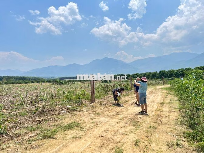 ĐẤT NINH THƯỢNG – NINH HÒA – 600M² CHỈ 180 TRIỆU