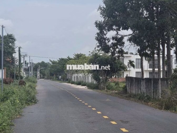 BÁN ĐẤT VEN BIỂN PHƯỚC HẢI 400M² 10X40 NGAY KDC PHAN GIA 2,2 TỶ