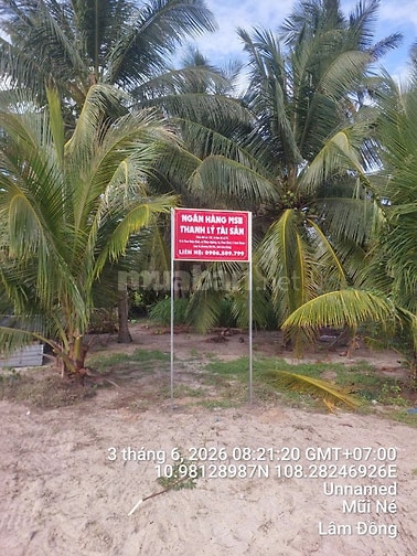 Công ty đấu giá hợp danh Sao Việt 