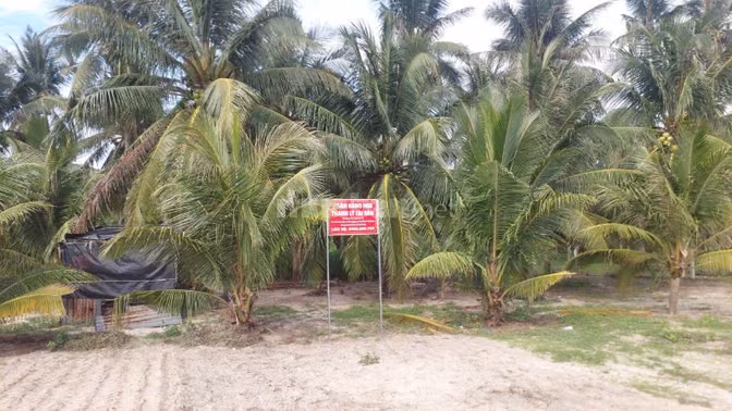 Công ty đấu giá hợp danh Sao Việt 
