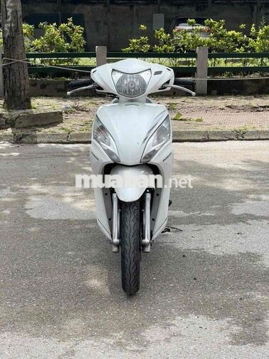 Honda Vision Trắng