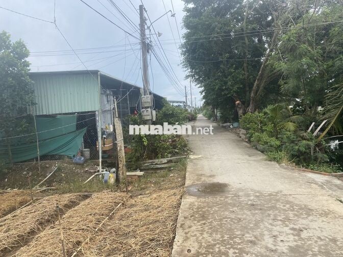 bán đất mặt tiền đường xe hơi xã bình nghị gò công đông