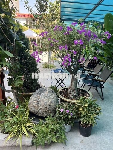TRƯỞNG CA KINH DOANH & VẬN HÀNH