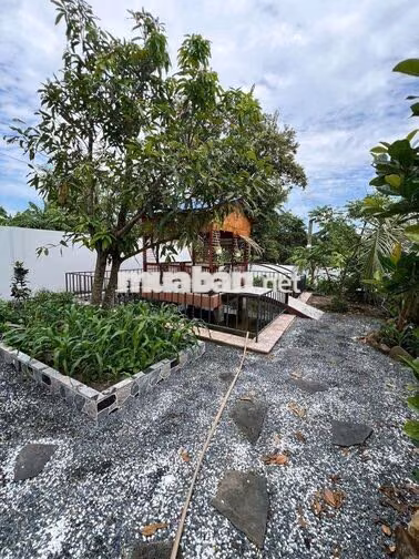 BIỆT THỰ SÂN VƯỜN 528M2 GIÁP RANH BÌNH CHÁNH FULL NỘI THẤT 
