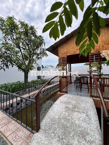 BIỆT THỰ SÂN VƯỜN 528M2 GIÁP RANH BÌNH CHÁNH FULL NỘI THẤT 