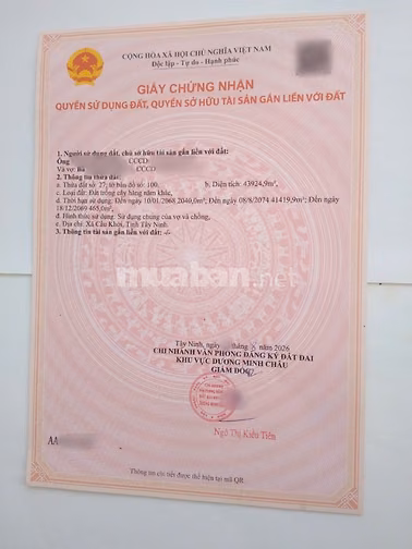 [Giấy ĐỎ mới 08/2026]Bán ĐẤT CAO SU 2MT, 4m& 6m, kế KCN Chà Là,rào B40