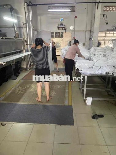 TUYỂN : 3 TÀI XẾ , 5 GIAO NHẬN & 7 LĐPT