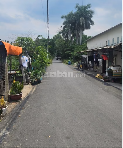 Bán nhà mặt tiền 2B Kinh số 4 Tân Tạo A Bình Tân 4,4x35m giá chỉ 6 tỷ.