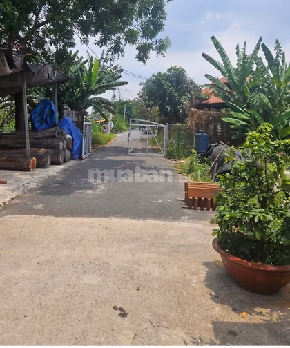 Bán nhà mặt tiền 2B Kinh số 4 Tân Tạo A Bình Tân 4,4x35m giá chỉ 6 tỷ.