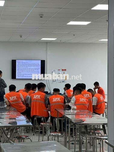 Tuyển nhân viên kho phân loại Shopee
