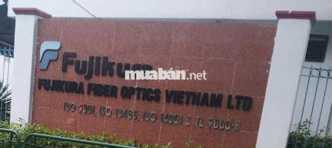 CTY FUJIKURA TUYỂN CÔNG NHÂN CHÍNH THỨC KCN VISIP1