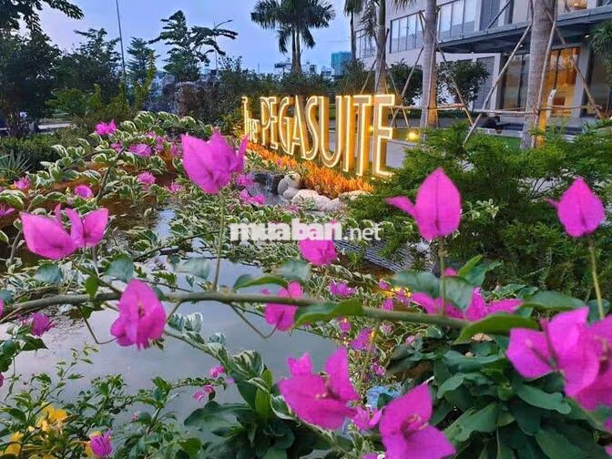 Cho thuê PEGASUITE 1 Q8 – 2PN, Full NT, căn tốt chỉ 11,5 triệu/tháng