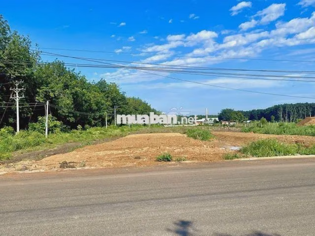 Đất 250m² có thổ cư, sát chợ, giá 480 triệu