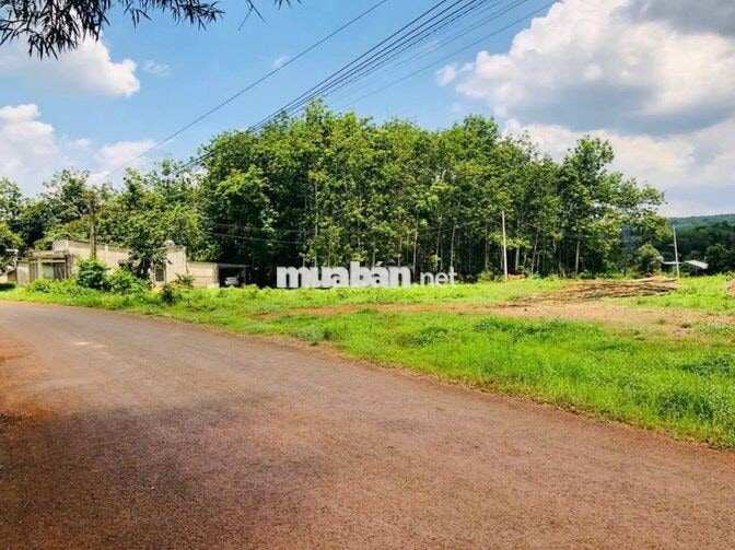 Đất 250m² có thổ cư, sát chợ, giá 480 triệu