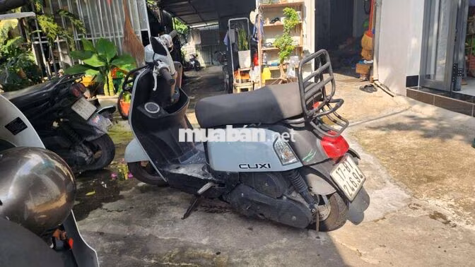 Yamaha Cuxi Xám Đã sử dụng