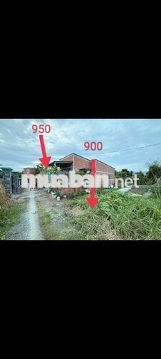 Bán 2 lô đất Lộc trung, hẻm xe hơi