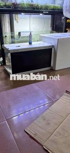 Partime/ fulltime Nhân viên xử lý đơn hàng TMĐT