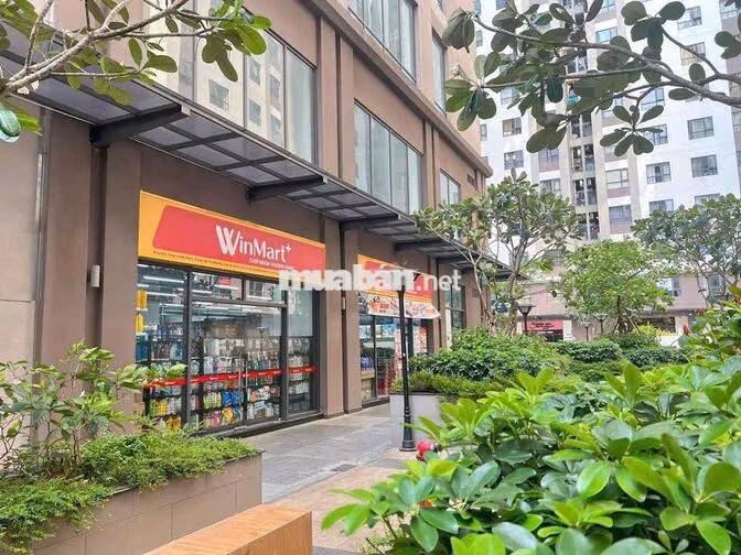 Chính chủ cần bán nhanh căn  Góc 3 PN Green River quận 8