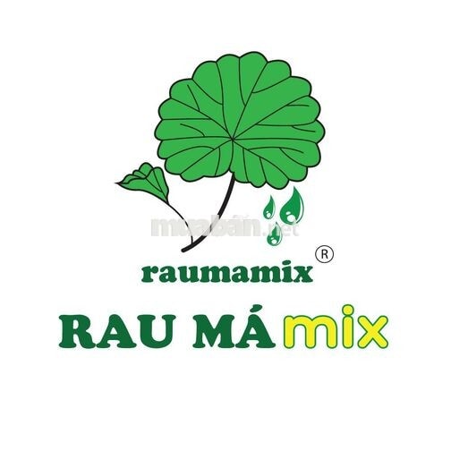 [Tân Bình] - Nhân viên Part-time Rau Má Mix