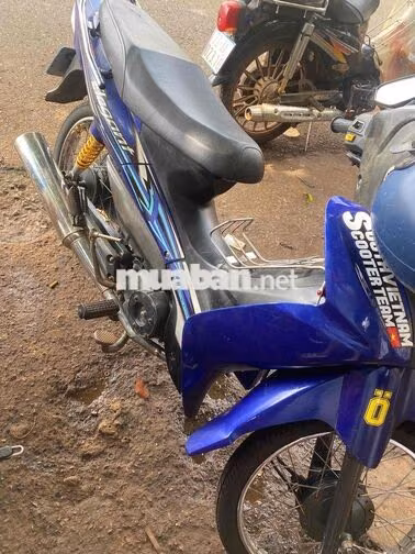 SYM Elegant 50cc Xanh