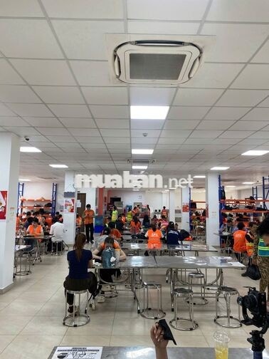 THỜI VỤ LƯƠNG TUẦN VÀ CHÍNH THỨC KHO SPX VSIP 2