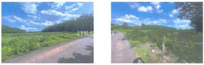 BÁN ĐẤU GIÁ 20 THỬA ĐẤT TẠI LONG HÀ, ĐỒNG NAI