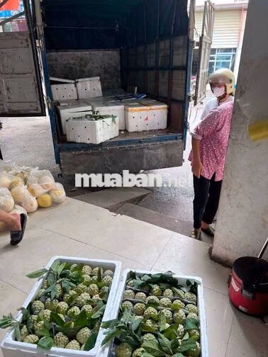 [BAO ĂN Ở] BỐC XẾP HÀNG HÓA, PHỤ XE GIAO HÀNG