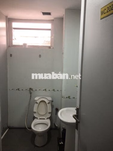 Tụi mình cần tìm bạn cùng phòng