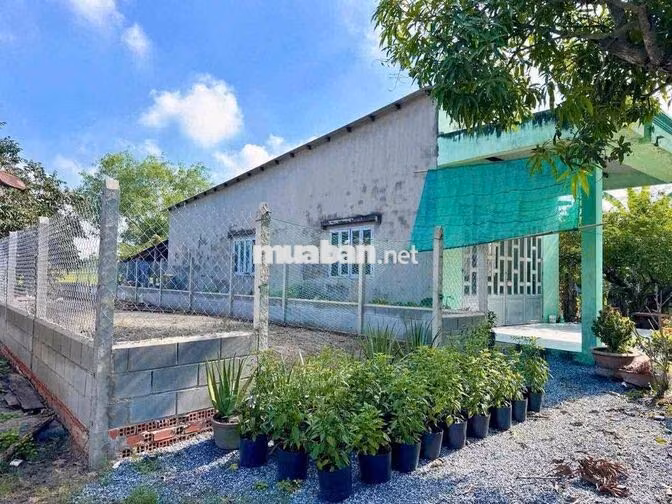 Chính Chủ Gửi 186m2 Đất Gần Bến Xe Củ Chi ( Giá Rẻ 800Tr )