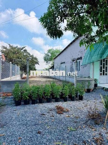 Chính Chủ Gửi 186m2 Đất Gần Bến Xe Củ Chi ( Giá Rẻ 800Tr )